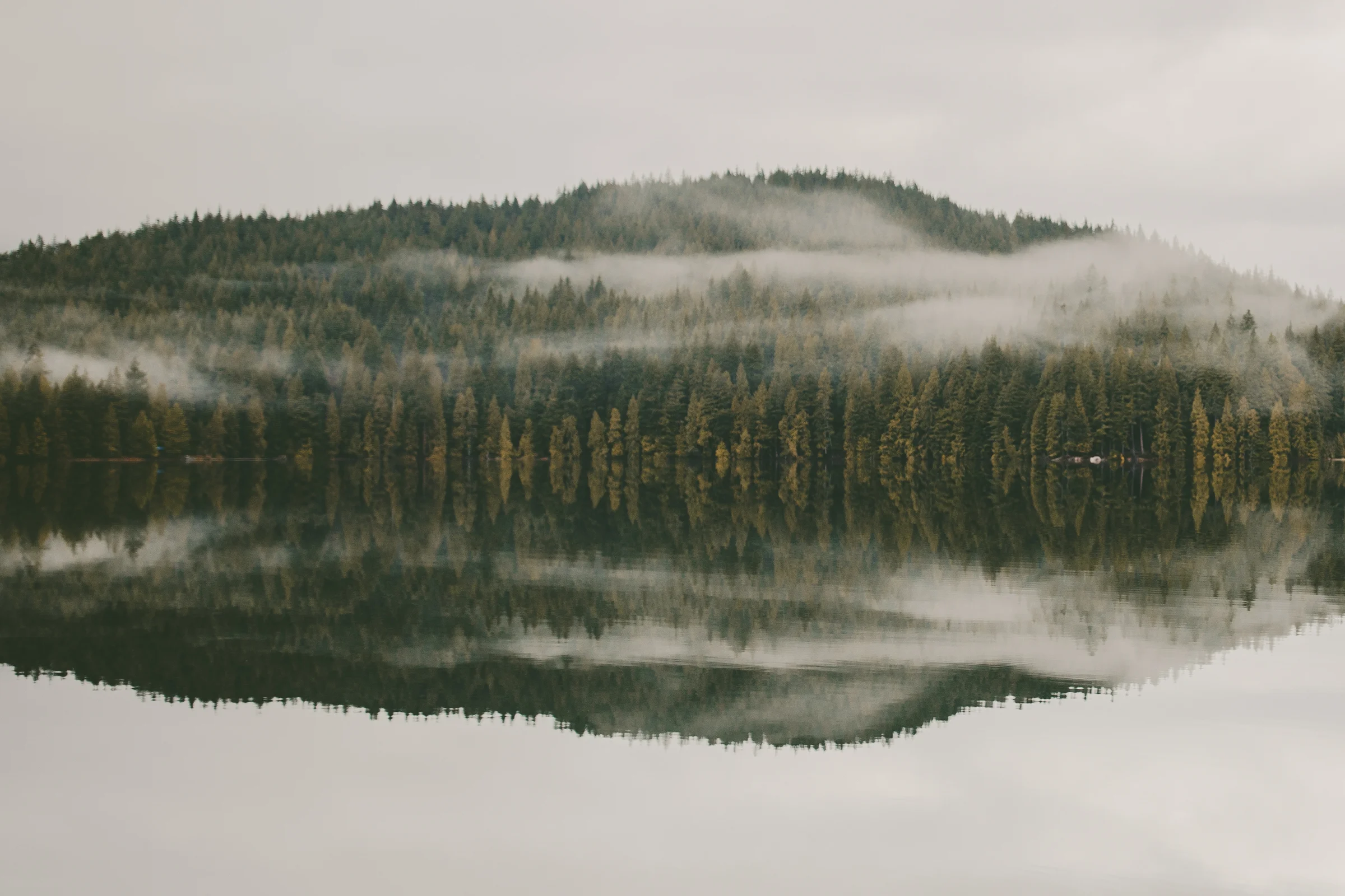 PNW Reflections.jpg