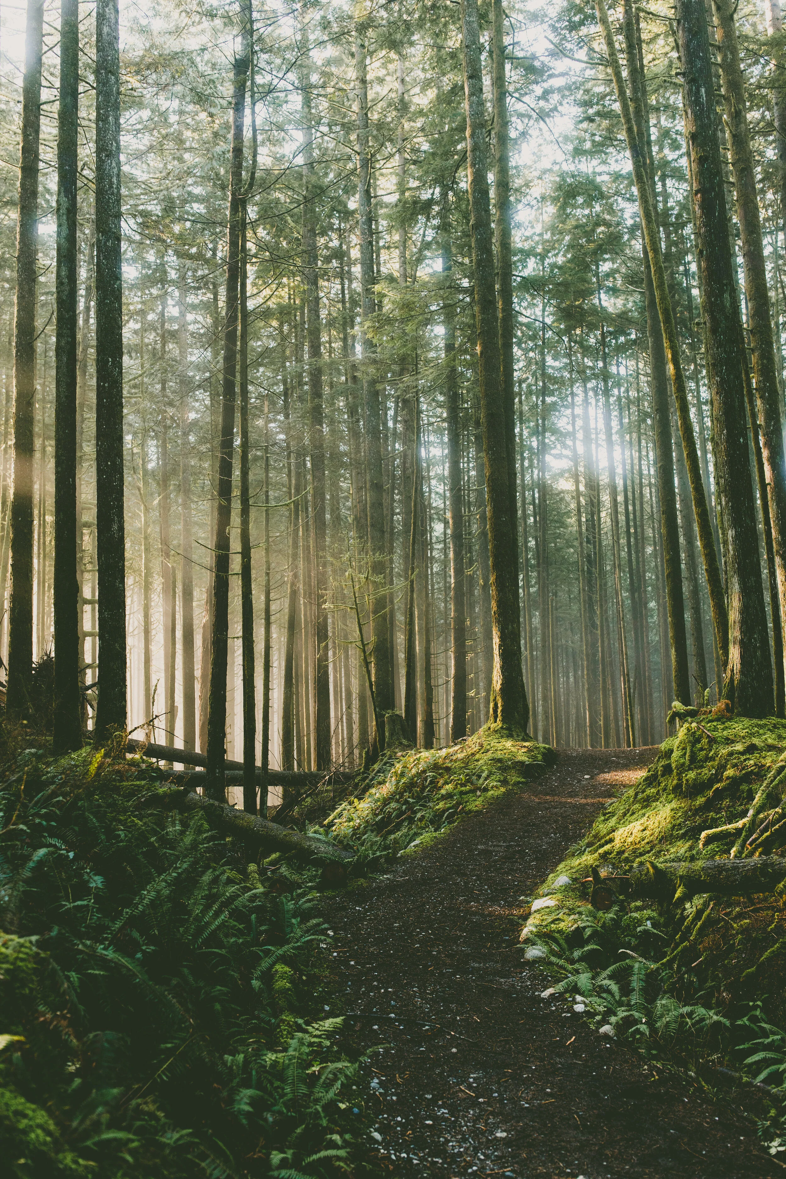 November Light Rays-November Light Rays-0078.jpg