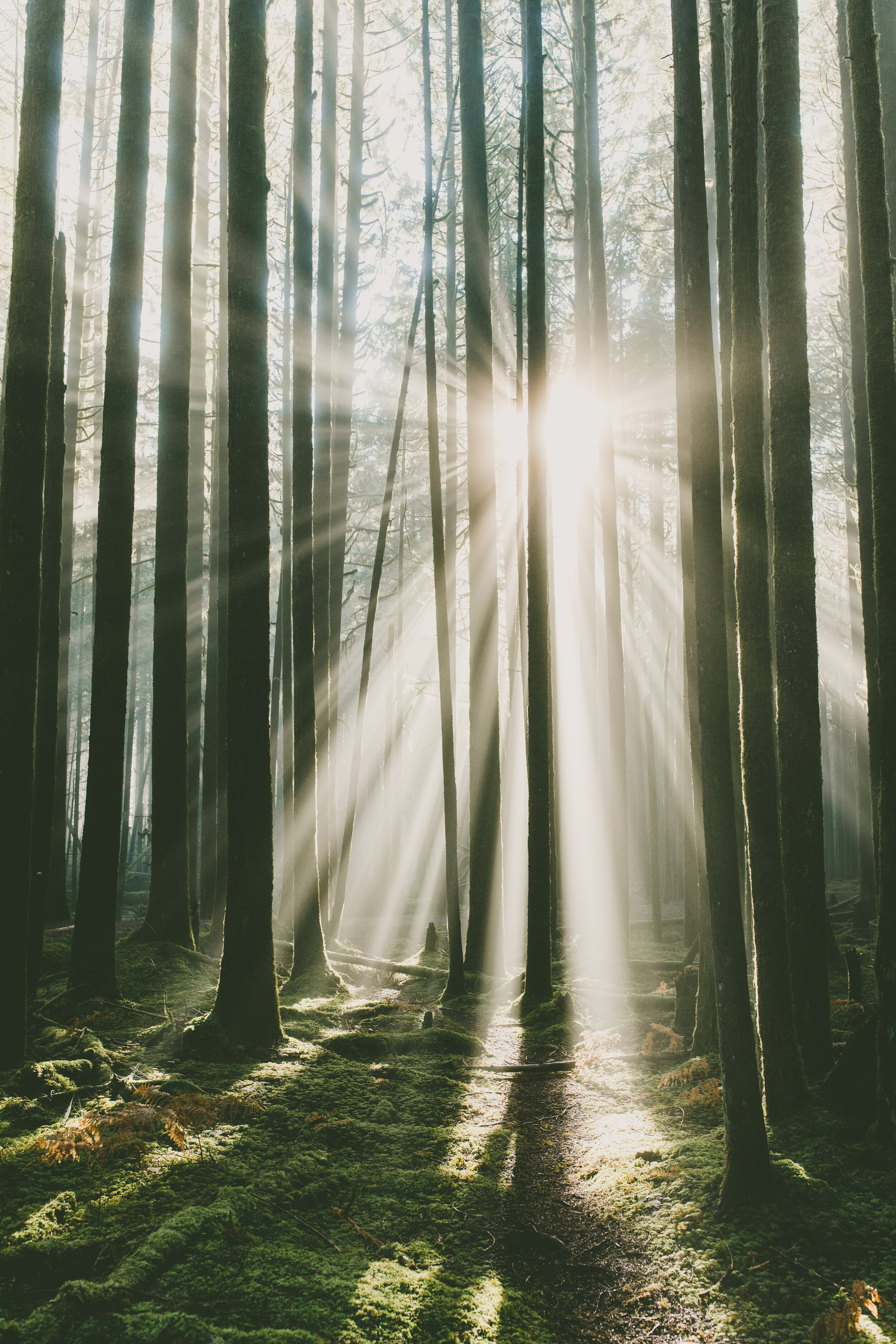 November Light Rays-November Light Rays-0099.jpg