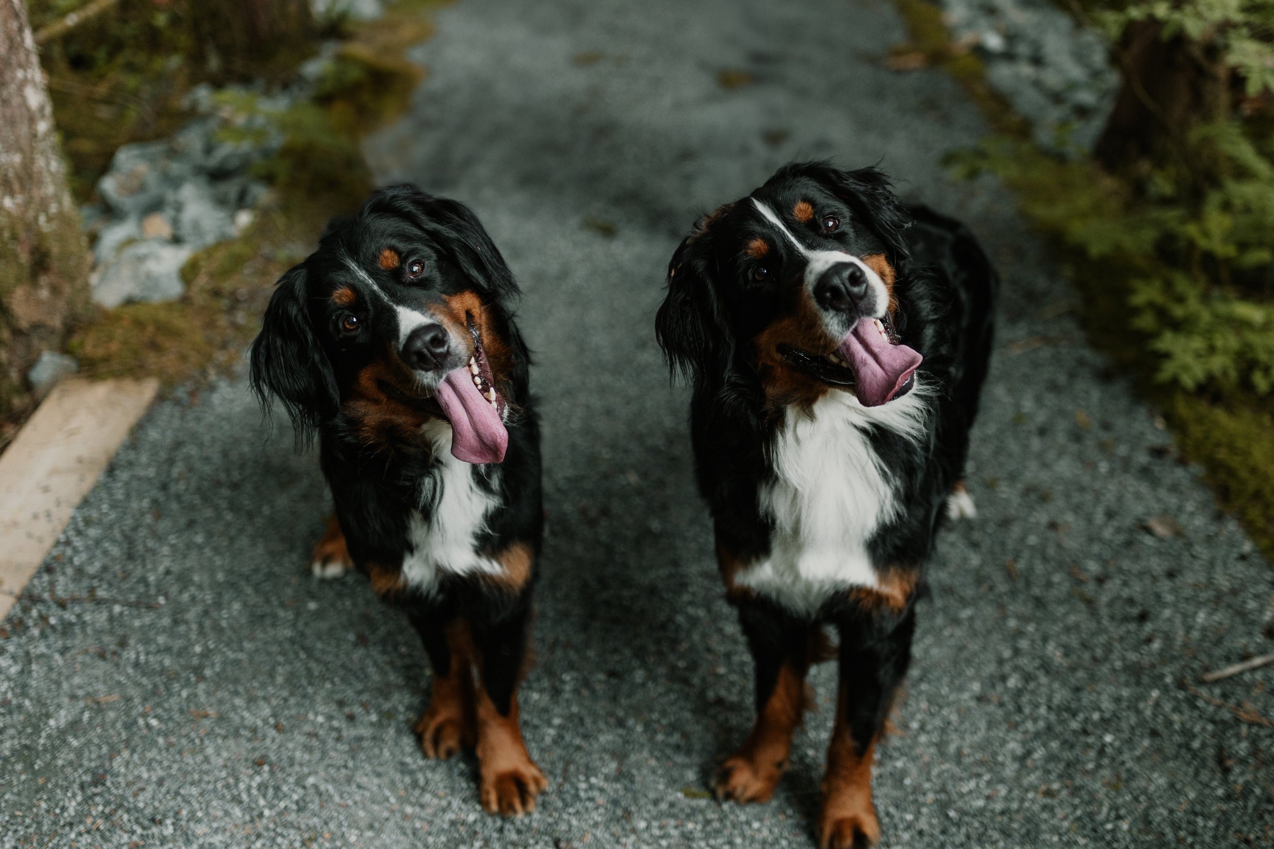 Jenna + Jake-158.jpg