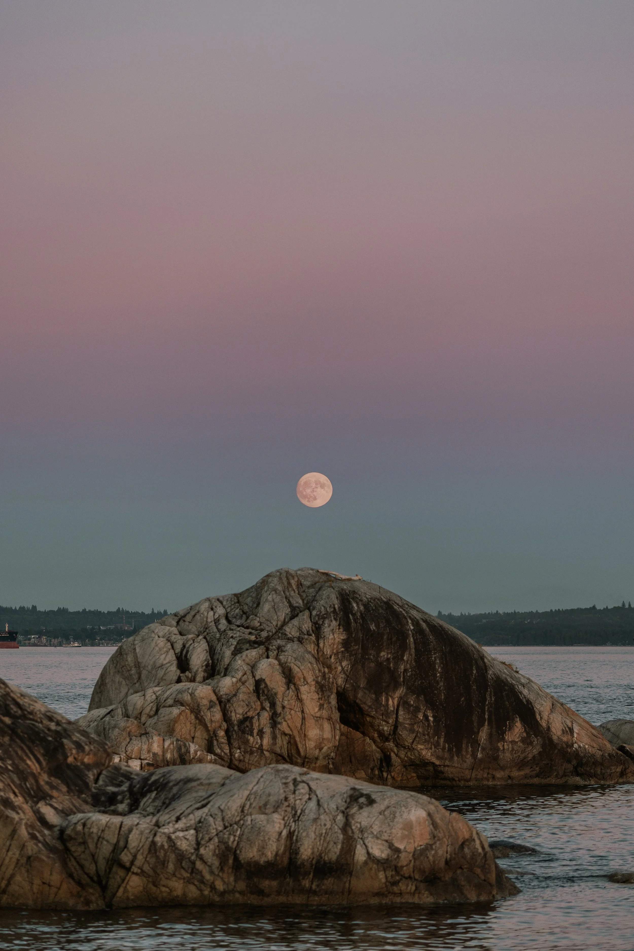 Full Moon-13.jpg