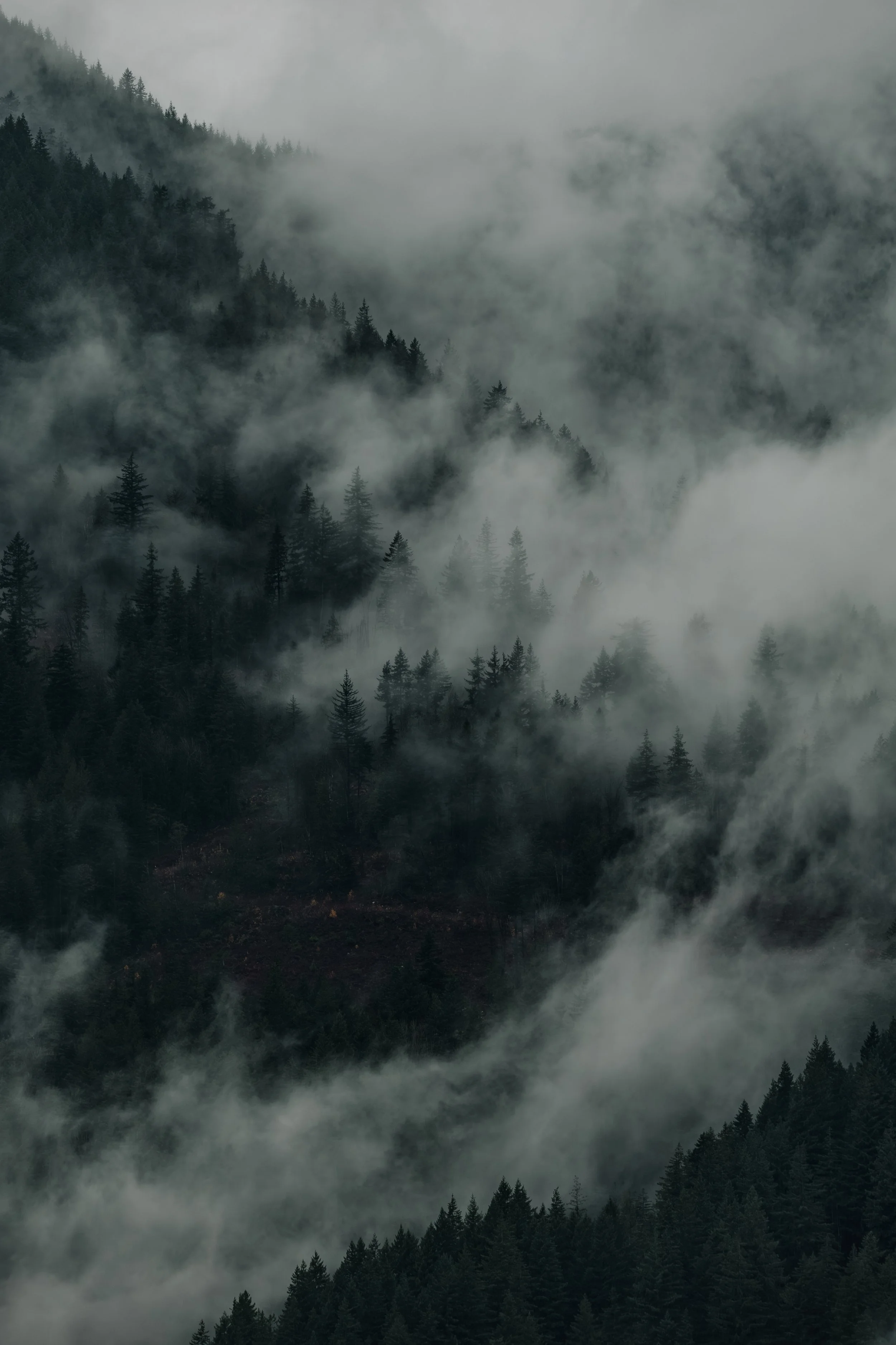 Harrison Salmon-235.jpg