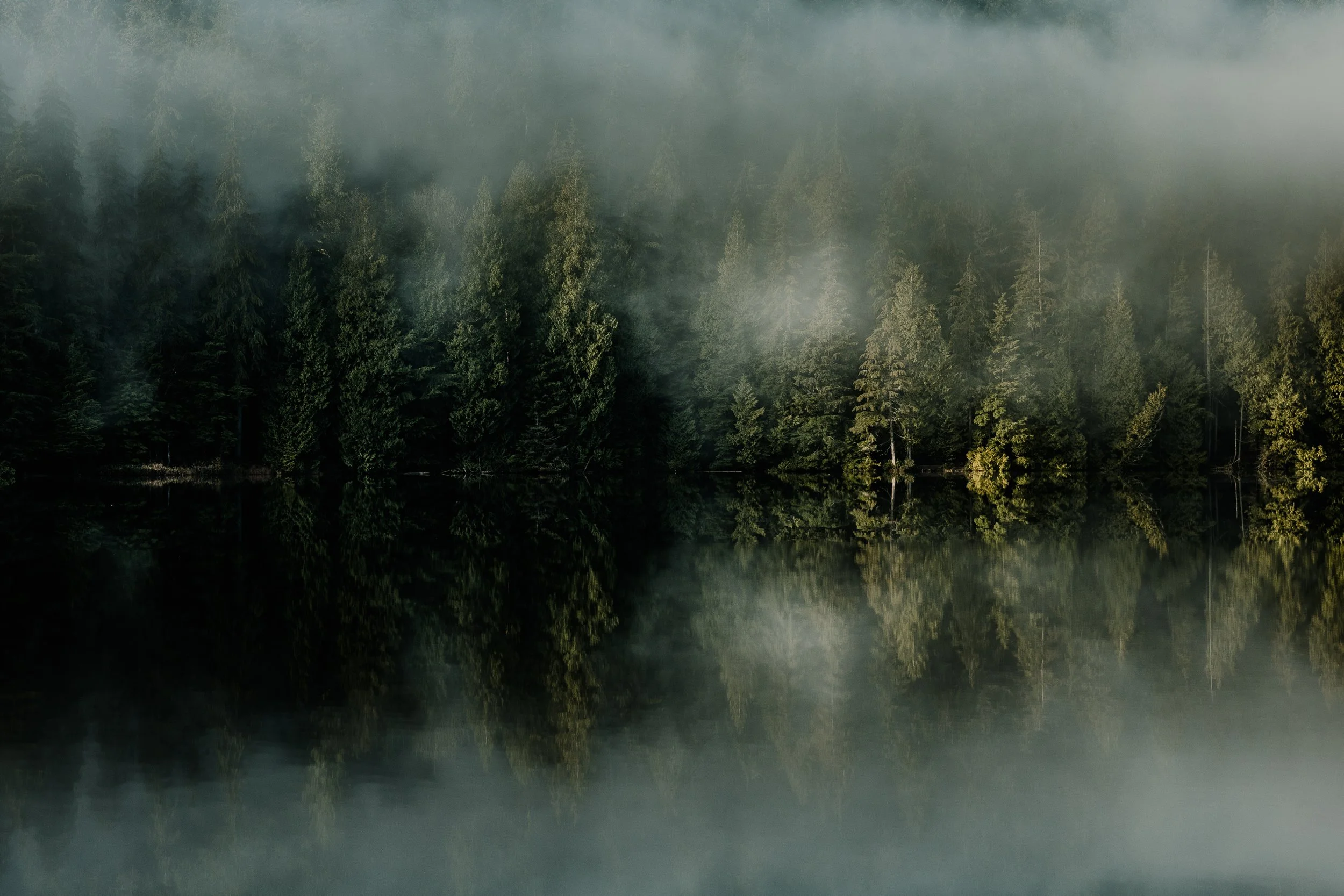 Sasamat Jan 12-16.jpg