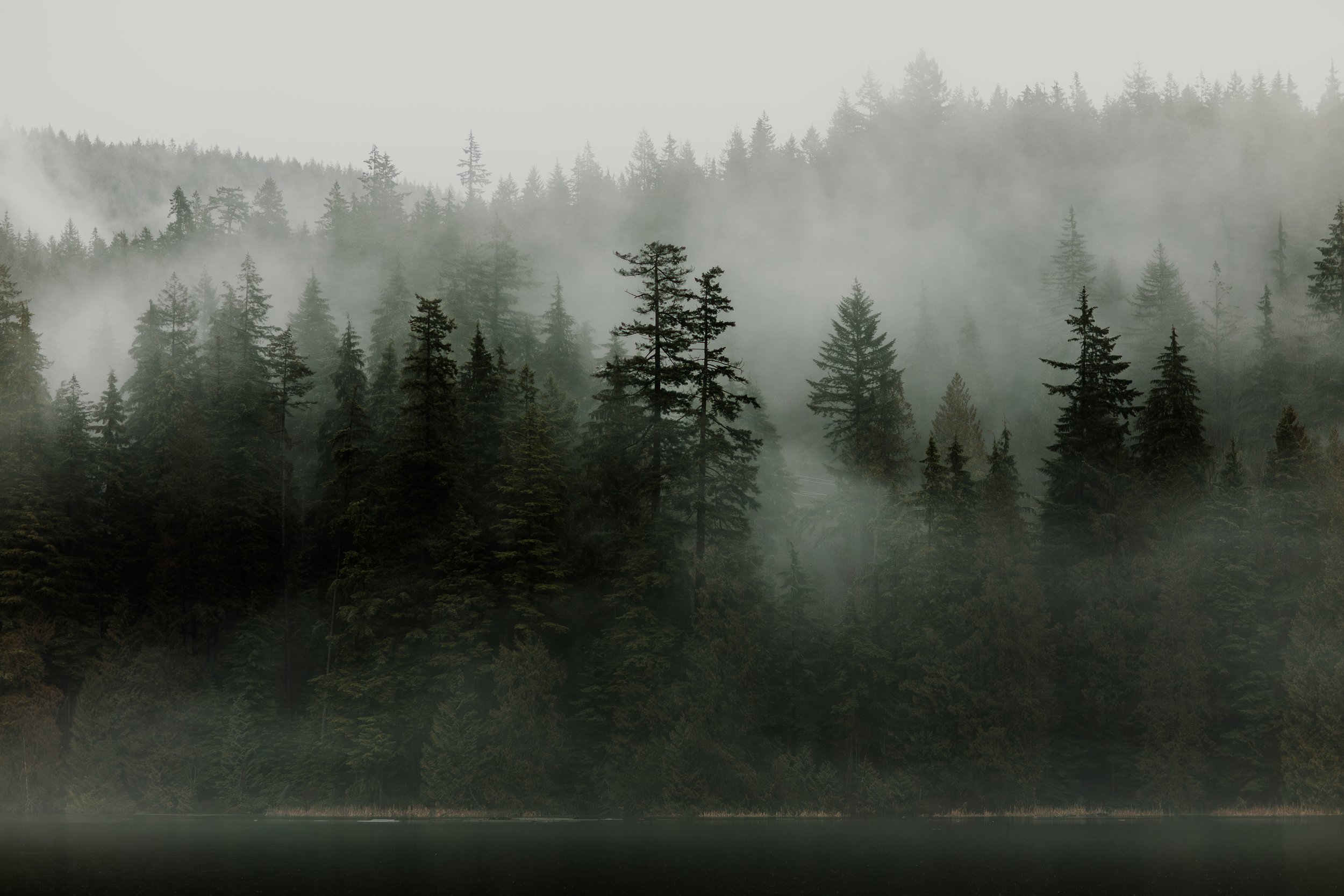 Sasamat Jan 2023-21.jpg