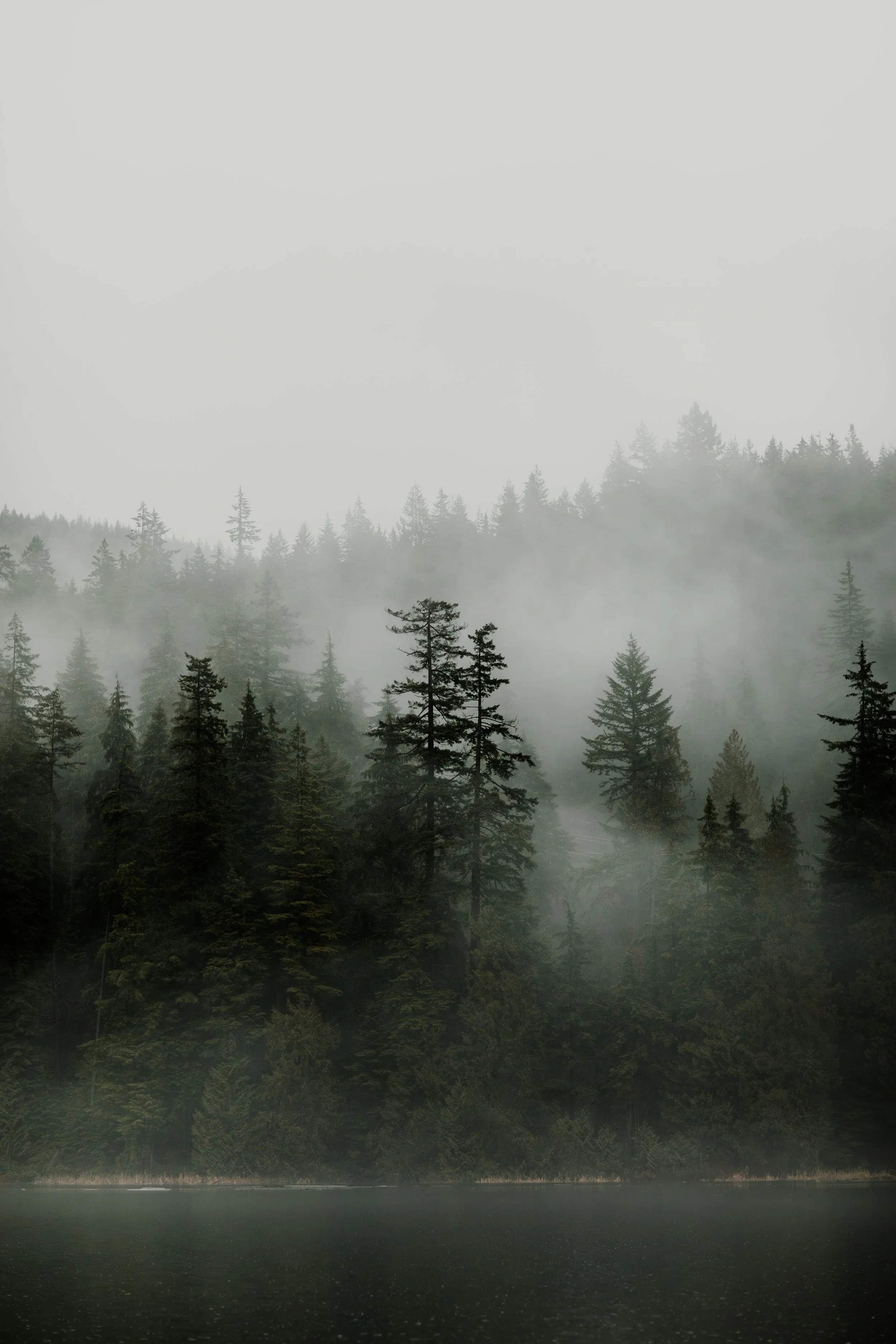 Sasamat Jan 2023-22.jpg