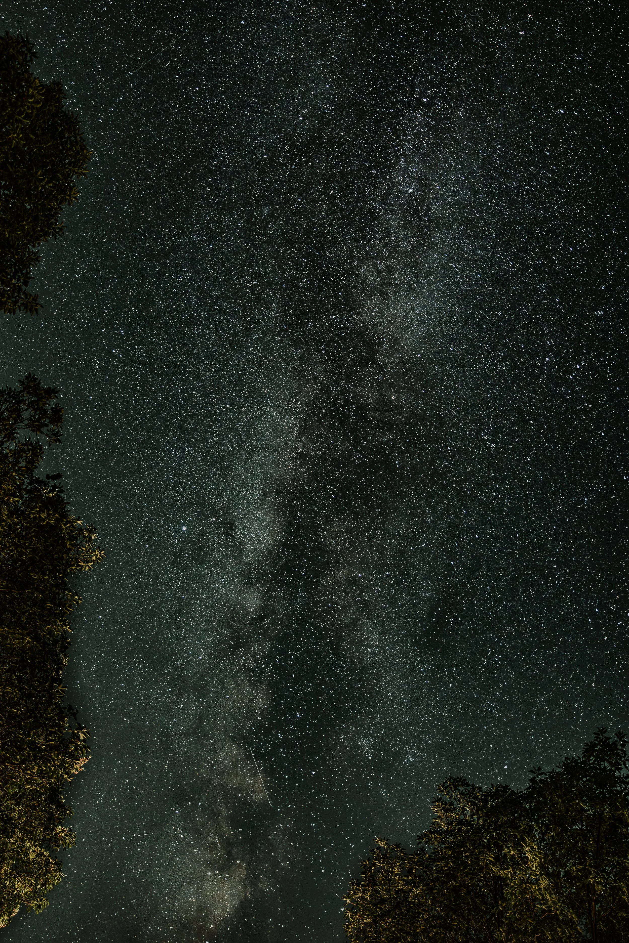 D94A7508.jpg