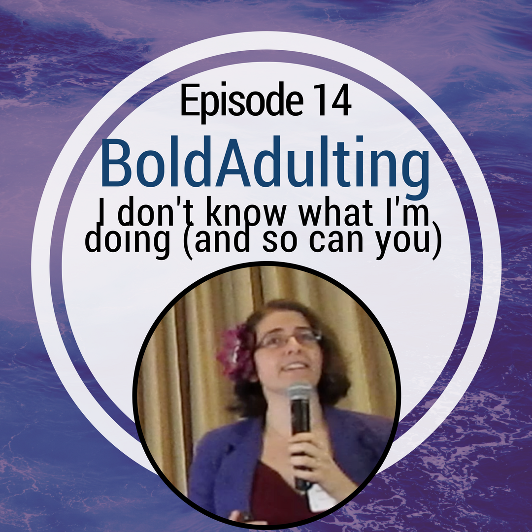 Podcast - I Don't Know What I'm Doing (And So Can You)