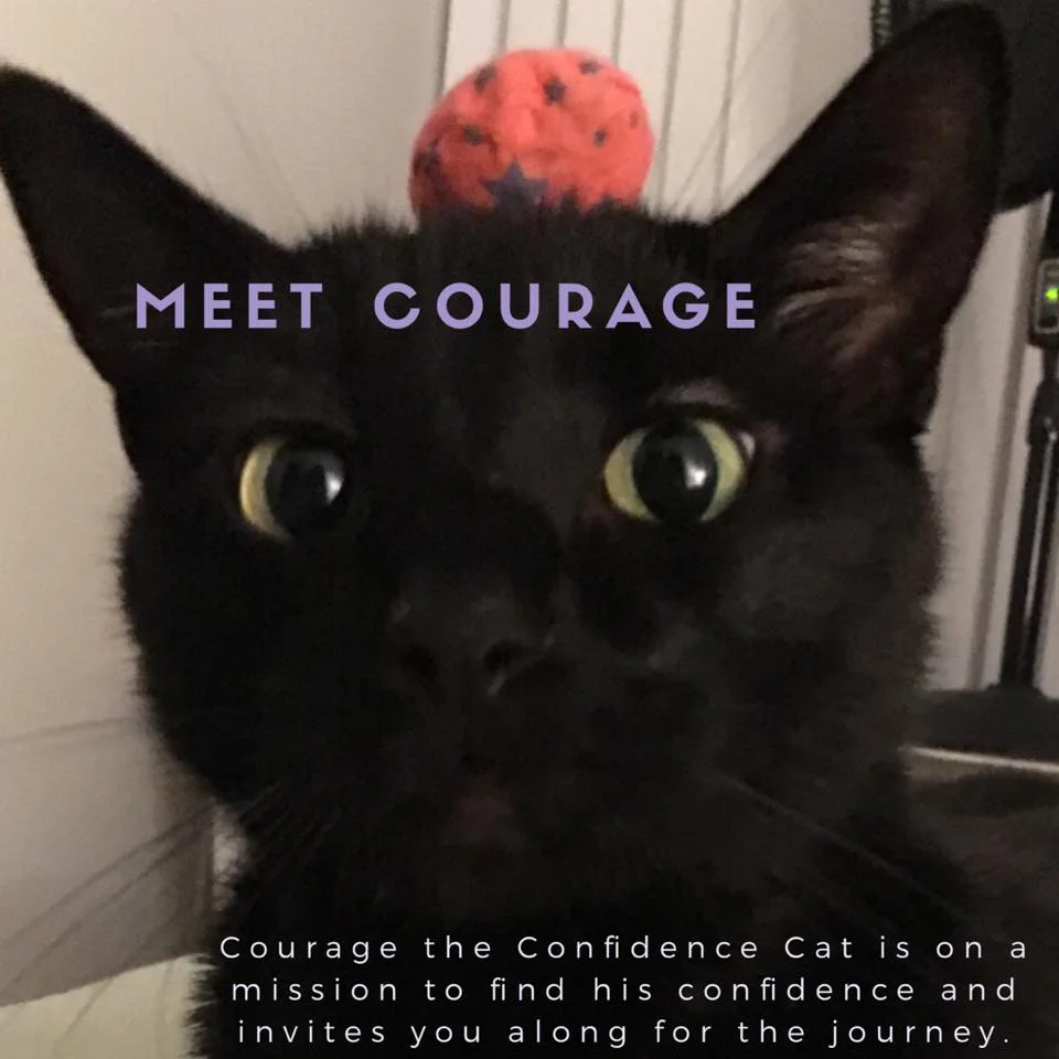 Meet Courage.jpg