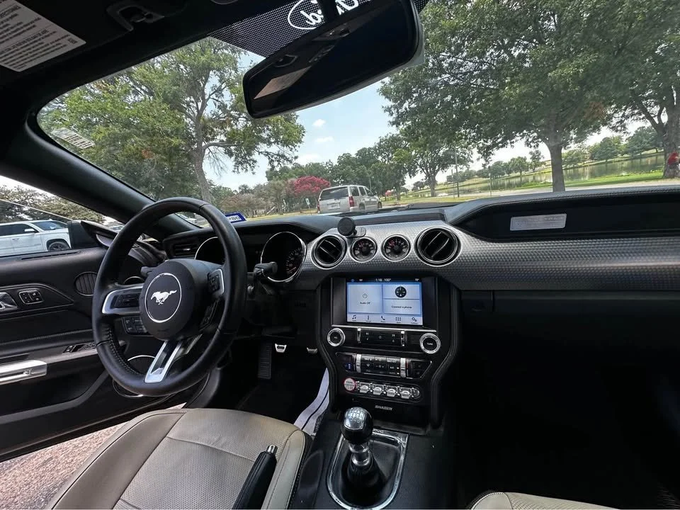 mustang 14.jpg