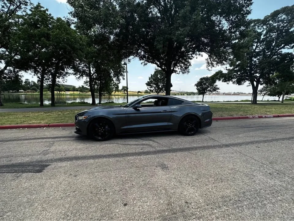 mustang 7.jpg