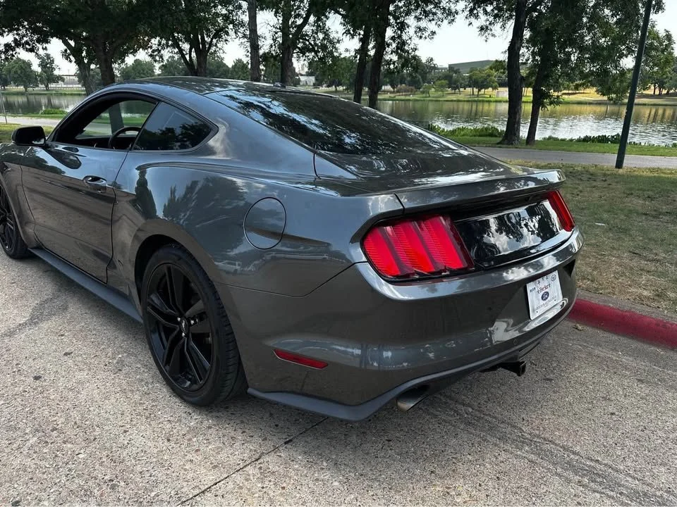 mustang2.jpg
