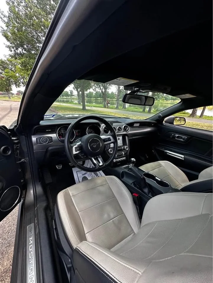mustang 12.jpg