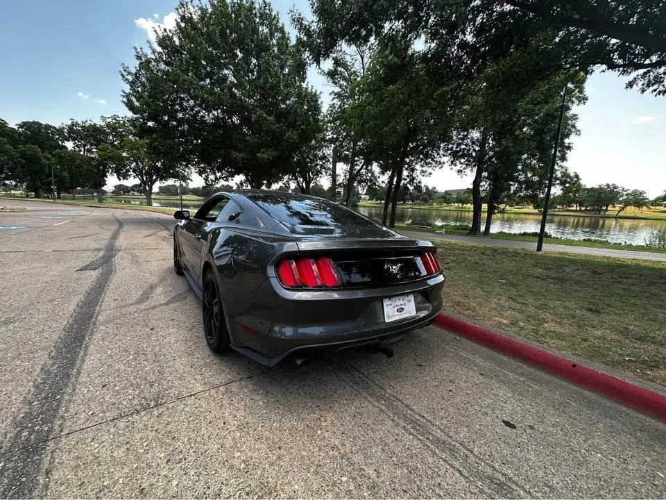 mustang 6.jpg