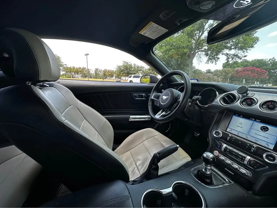 mustang 11.jpg