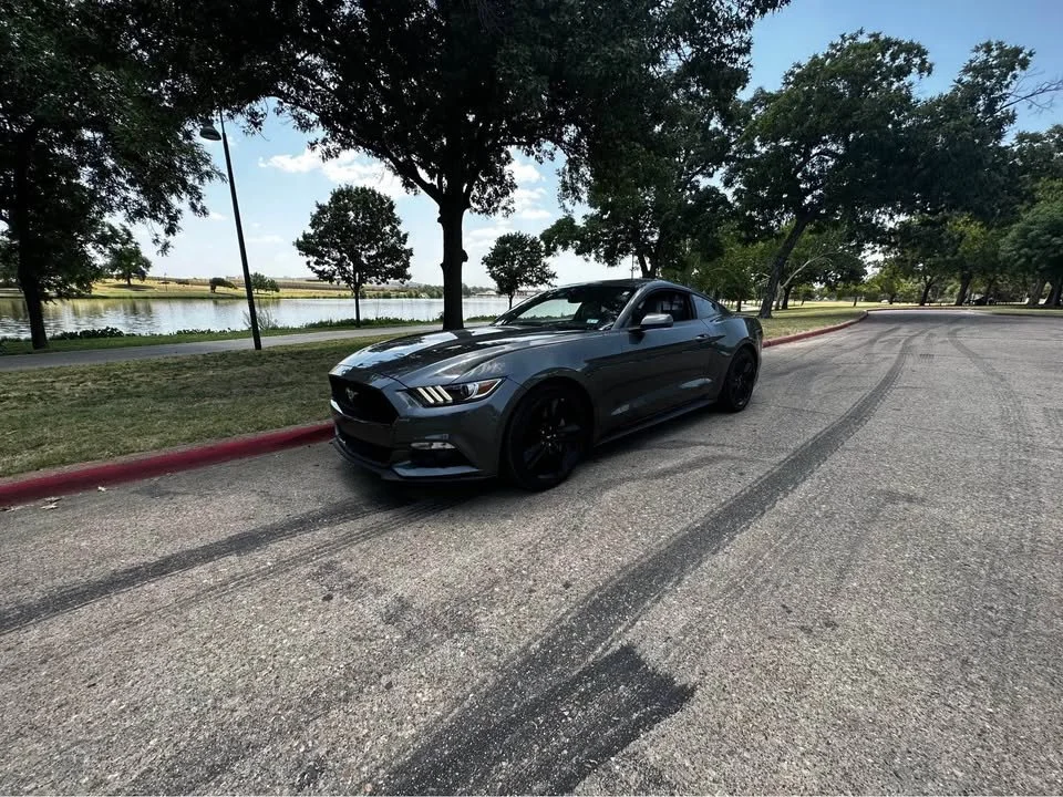 mustang.jpg