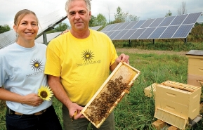 Mike Kiernan and Tanya Kiernan of bee the change standing with bees on a honeycomb in front of solar panels
