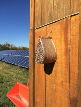 Honeycomb for bees on a farm run by bee the change