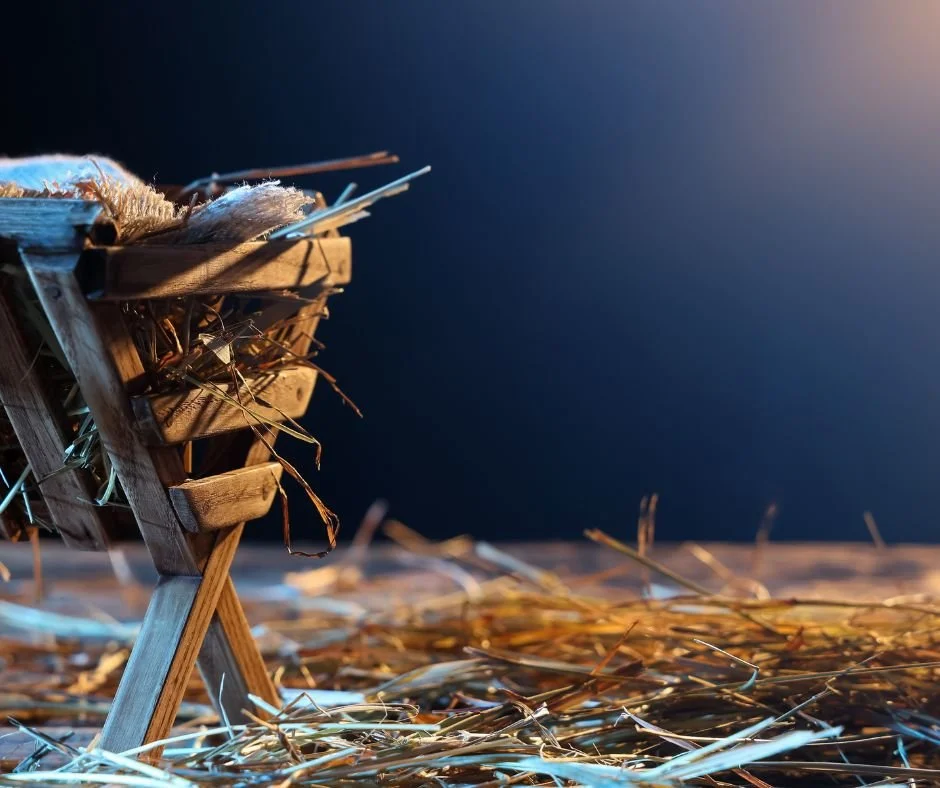 Add a heading (18).jpeg