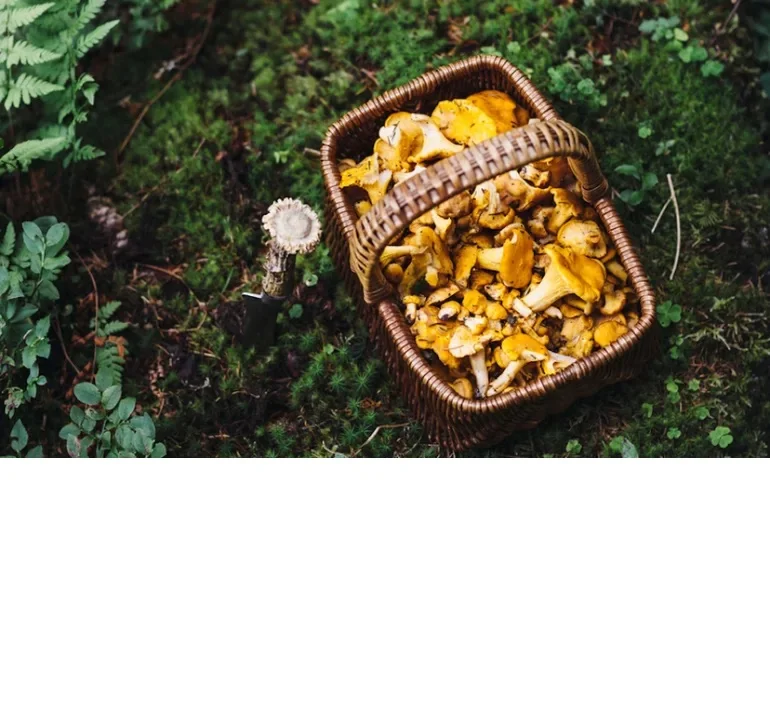 From Mindbodygreen.Com - 13 Things You Need To Know Today