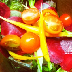 Farmer Spotlight: Norwich Meadows Farm