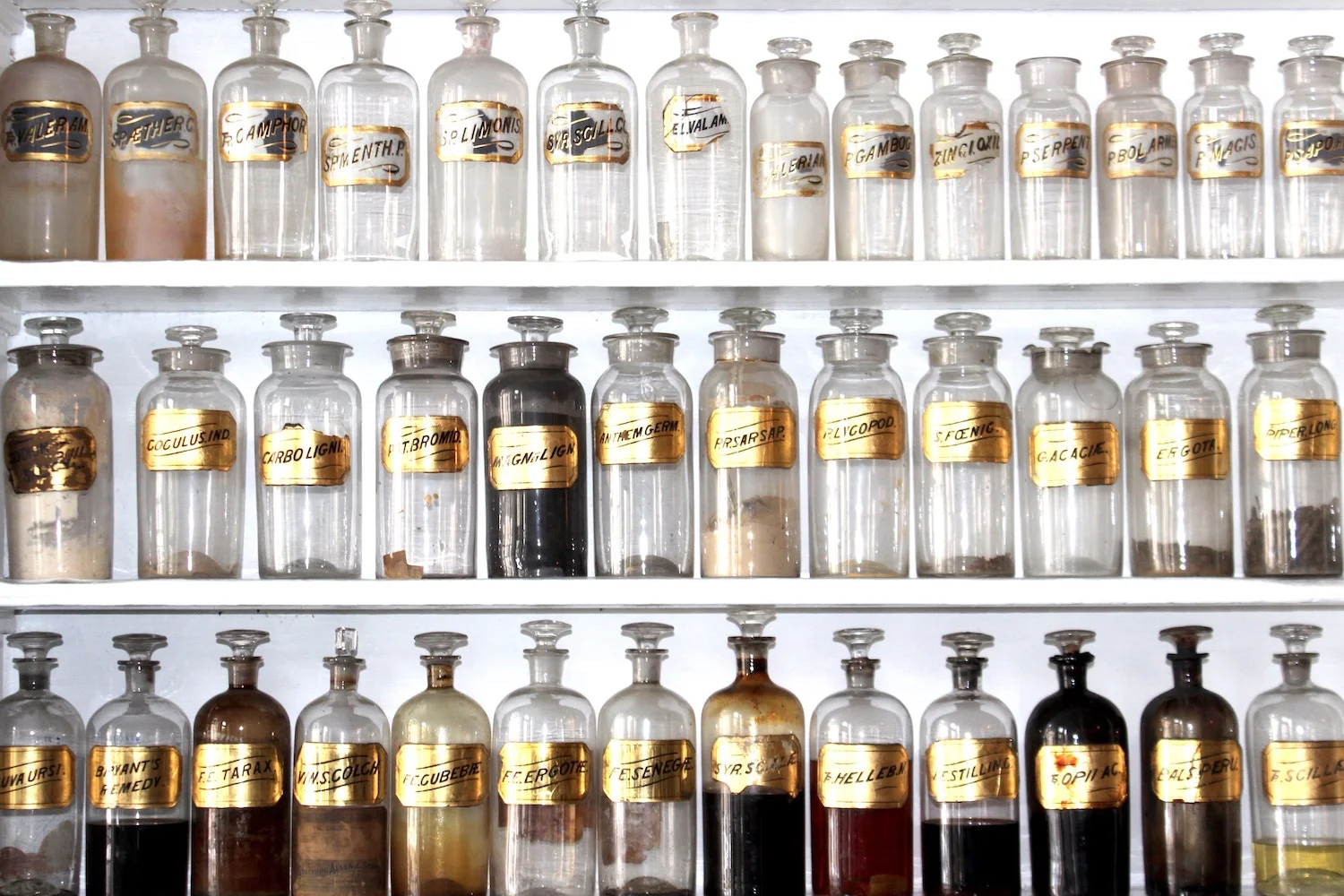 Finding Balance with Adaptogens