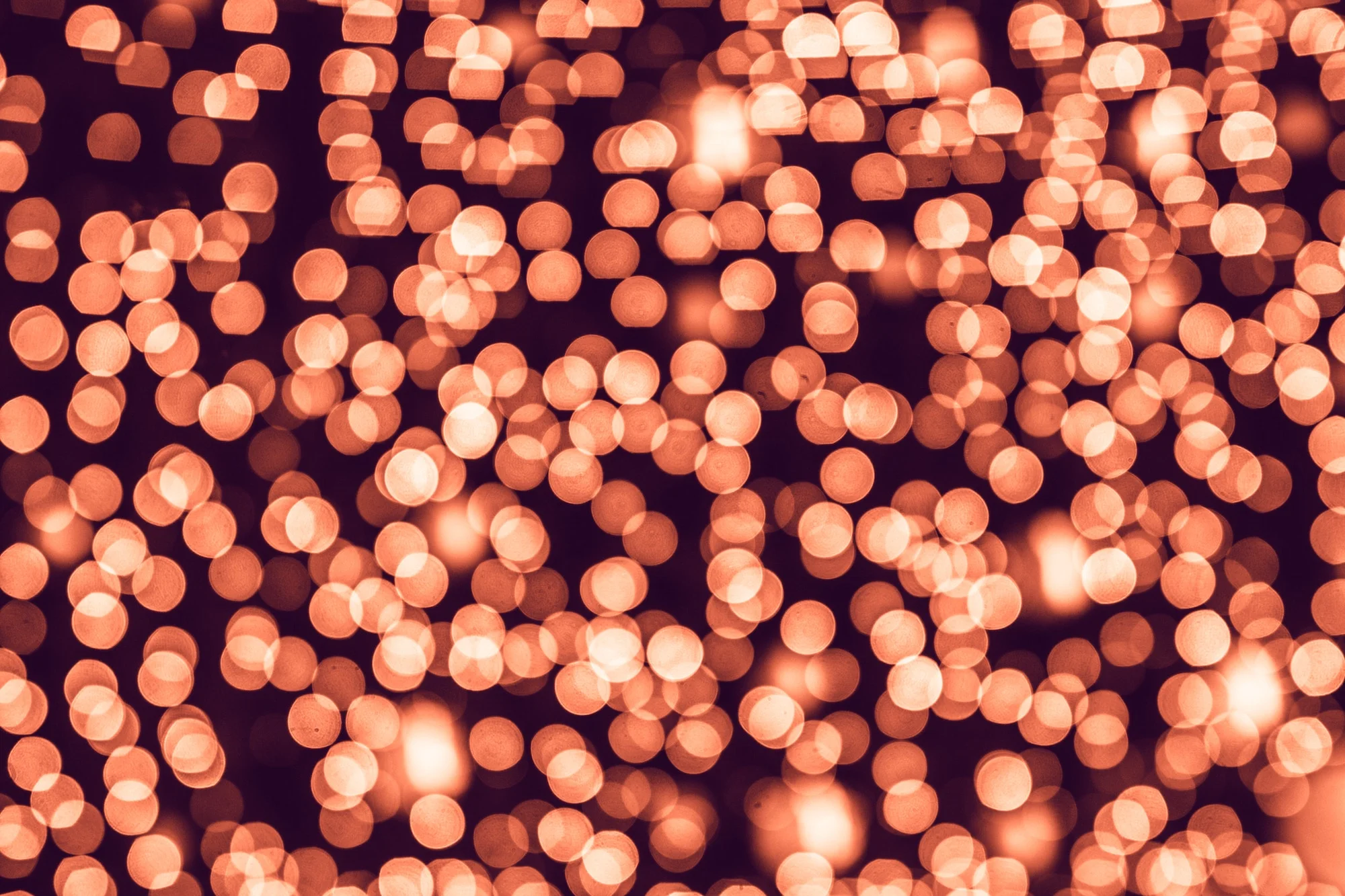 From Our Founder: My Top 3 Resolutions and Plans for 2019