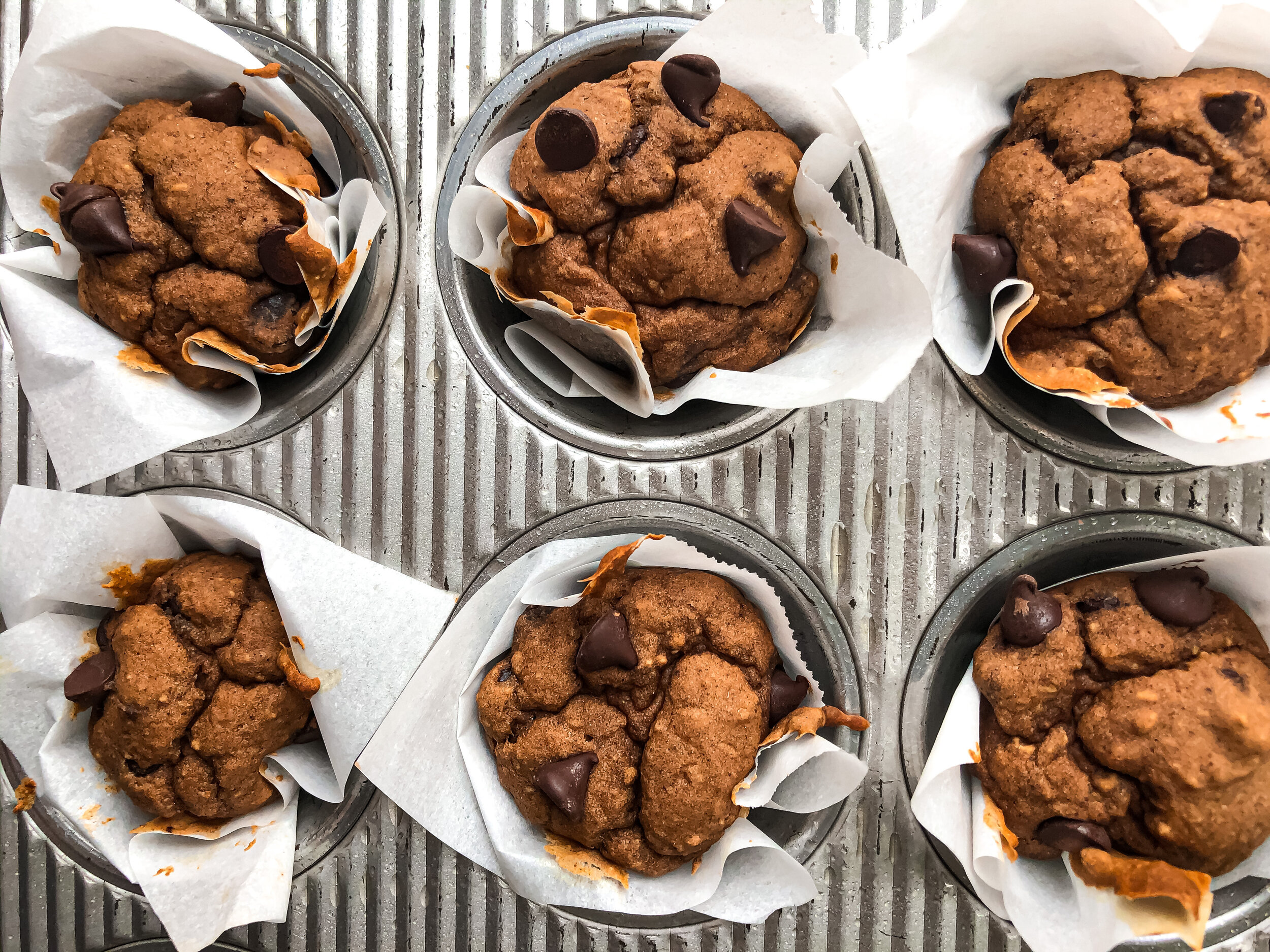 Decadent Double Cacao Protein Muffins Recipe