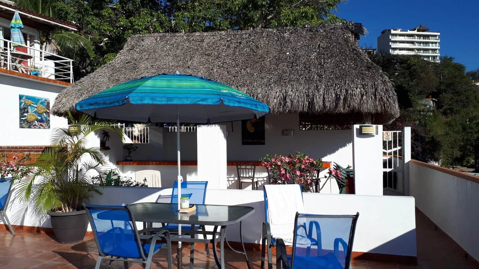 terrace2.JPG