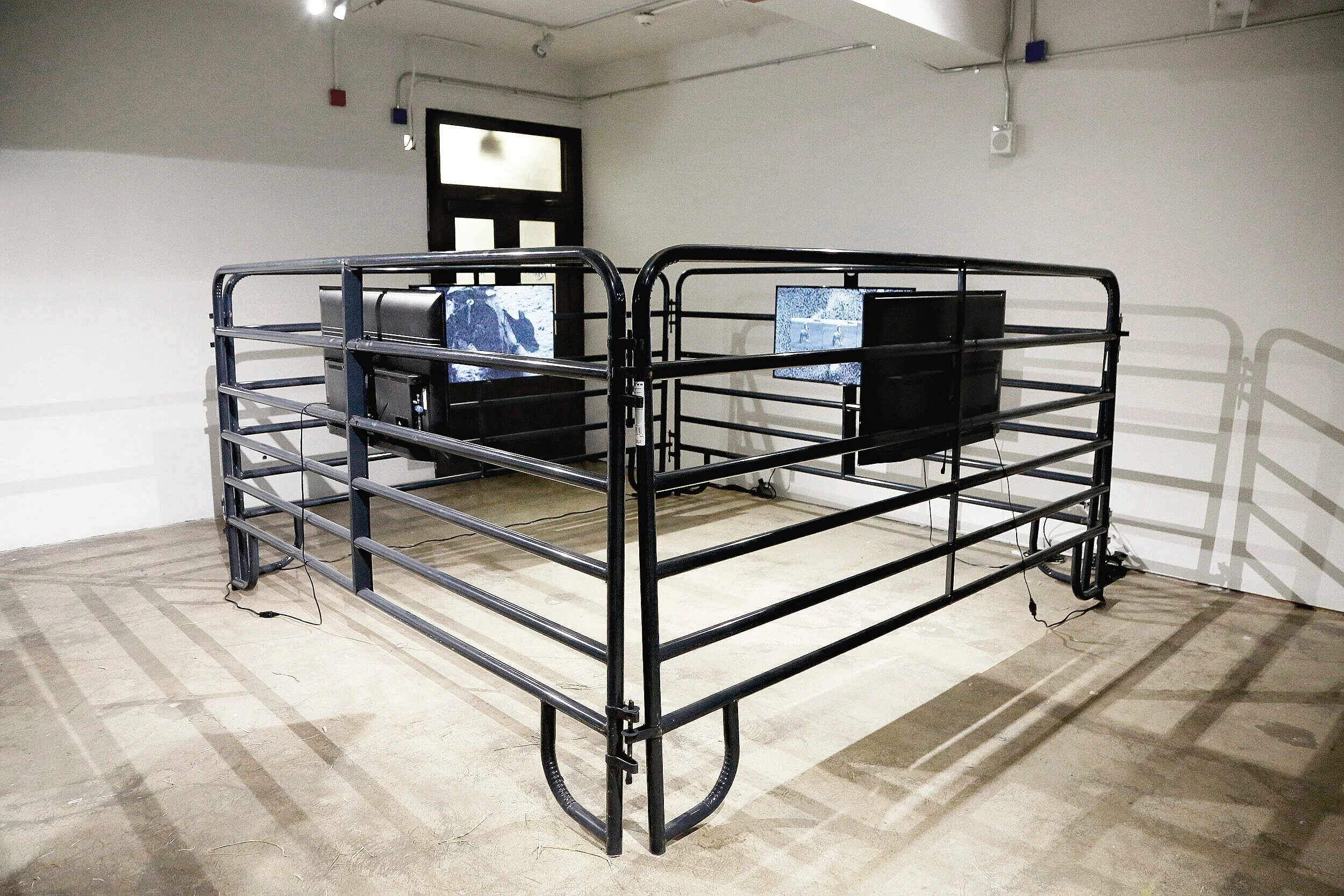 The Pen With No Exit, 2019.