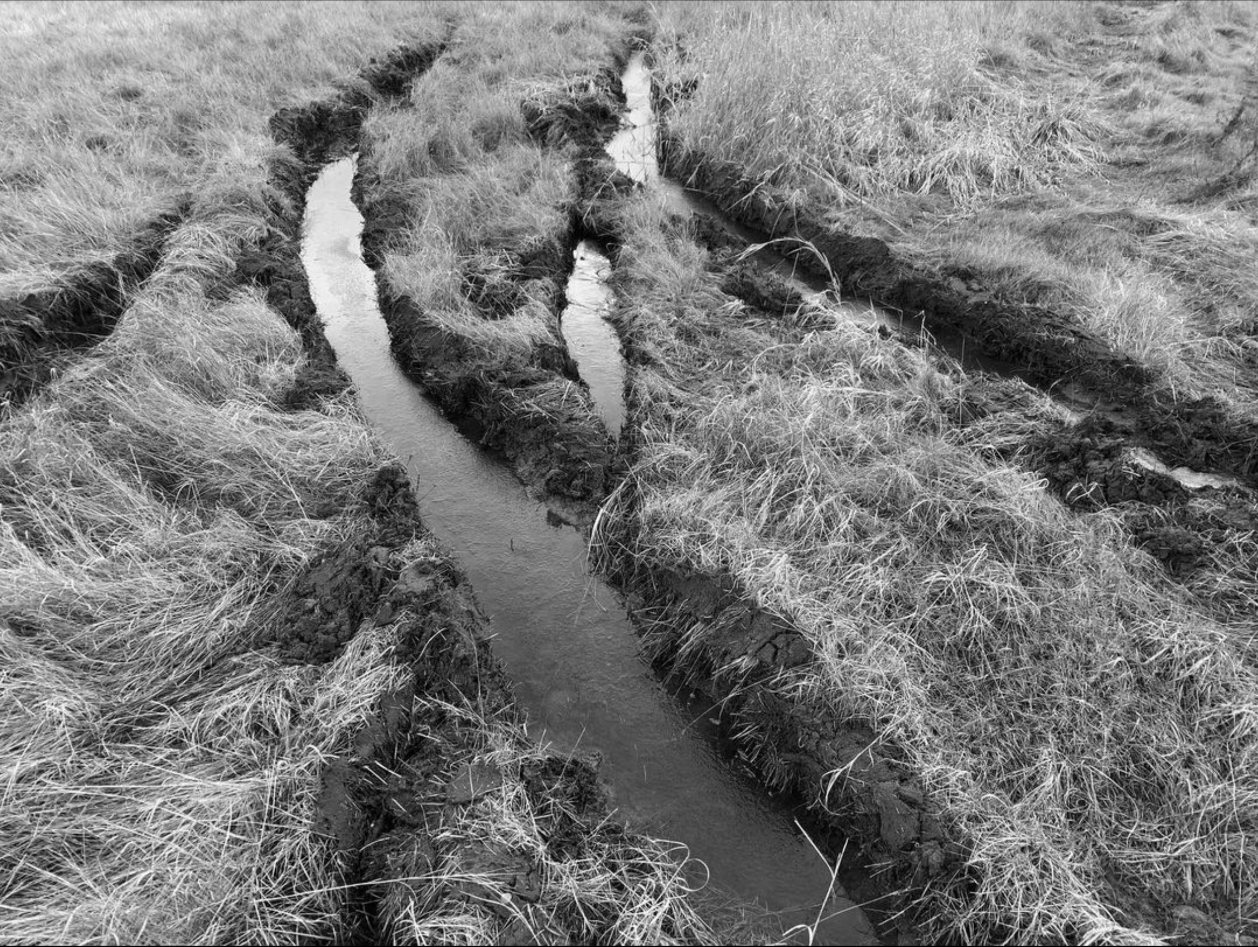 Screen Shot 2022-10-22 at 11.51.08 AM.png