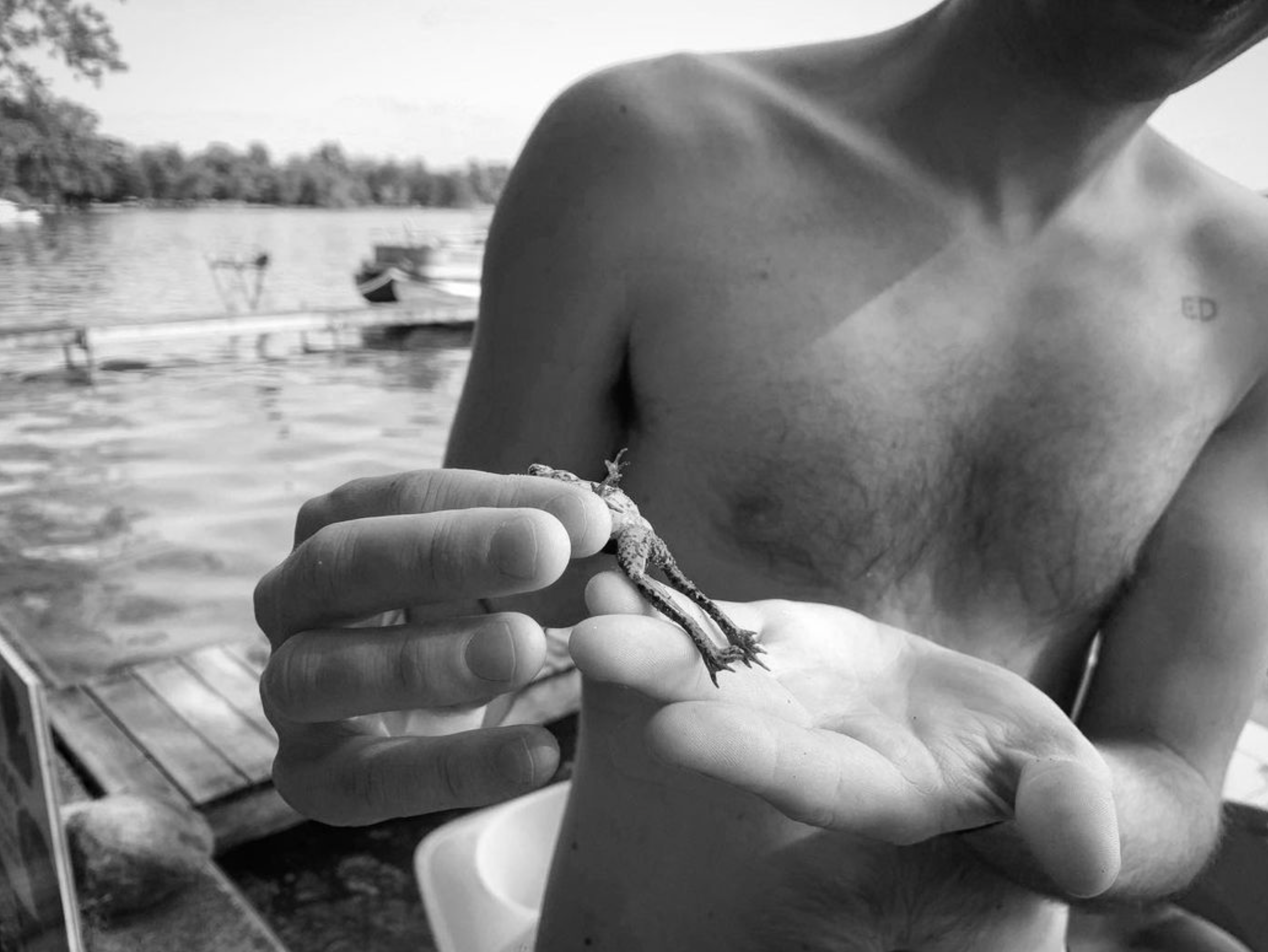 Screen Shot 2022-10-22 at 2.44.07 PM.png