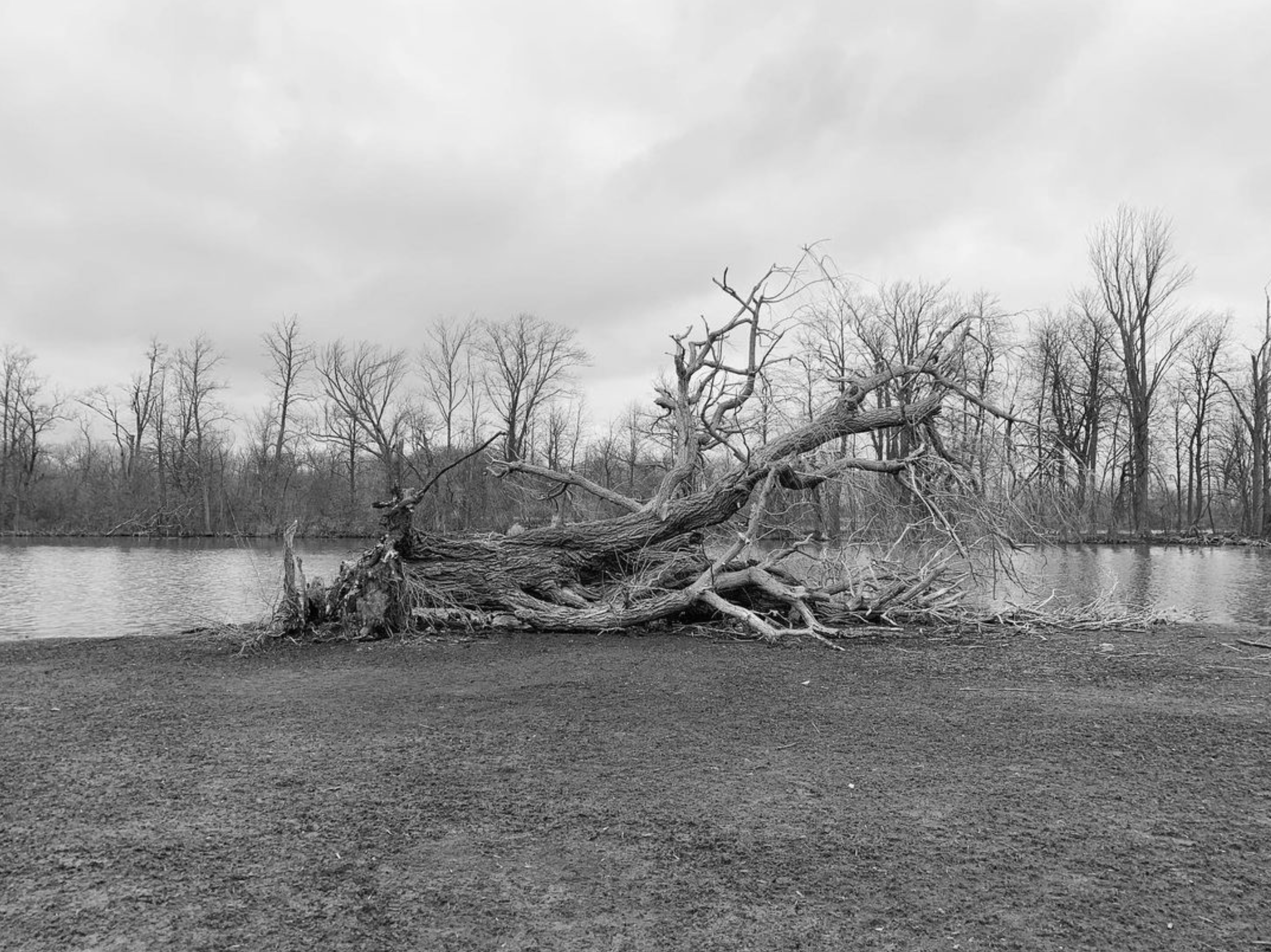 Screen Shot 2022-10-22 at 2.43.16 PM.png