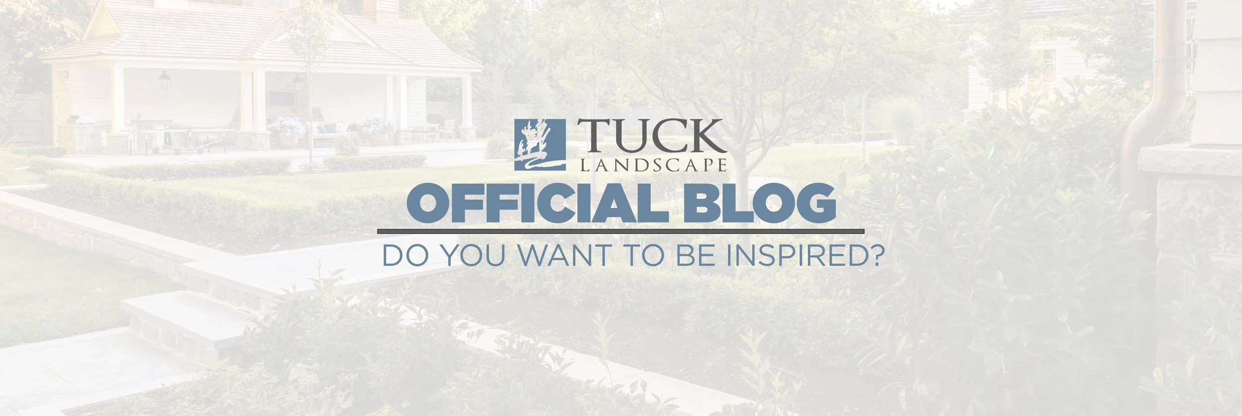 Blog Header Image.jpg