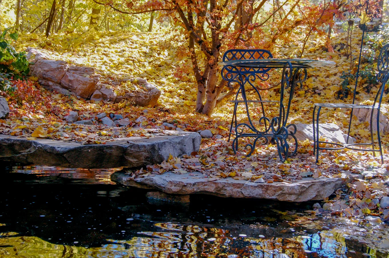 DSC_0140.jpg