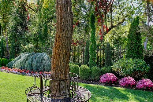 Tuck Landscape 6221.jpg