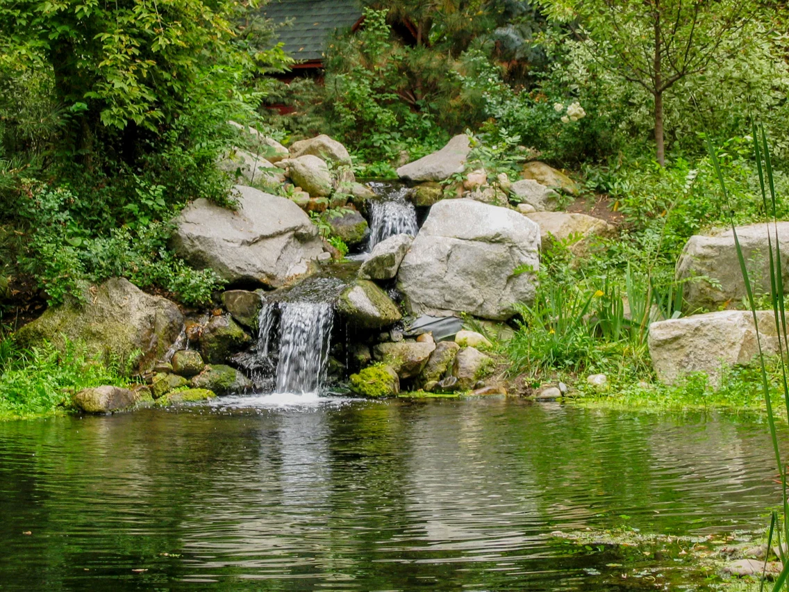Tuck Landscape 7817.jpg