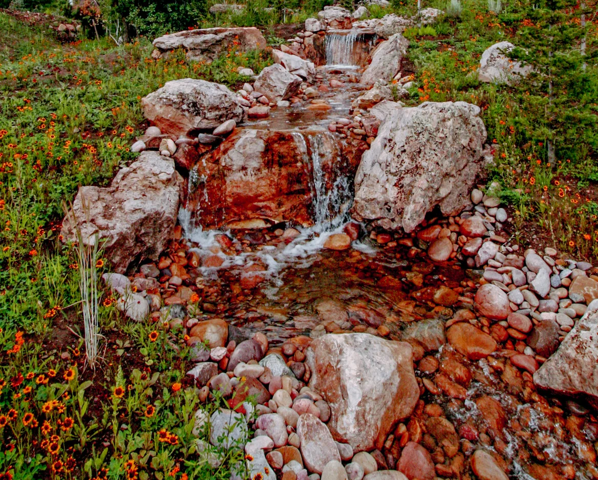 Tuck Landscape 7850.jpg