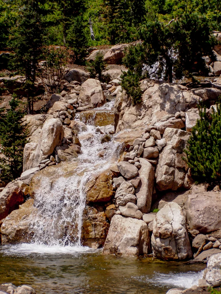 Tuck Landscape 7852.jpg