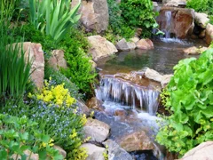 Tuck Landscape 8702.jpg