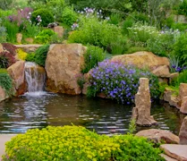 Tuck Landscape 8706.jpg