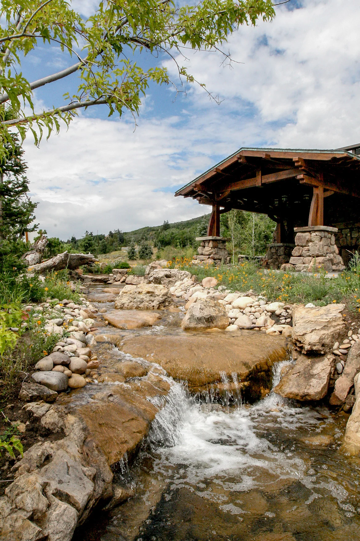 Tuck Waterscape 545.jpg