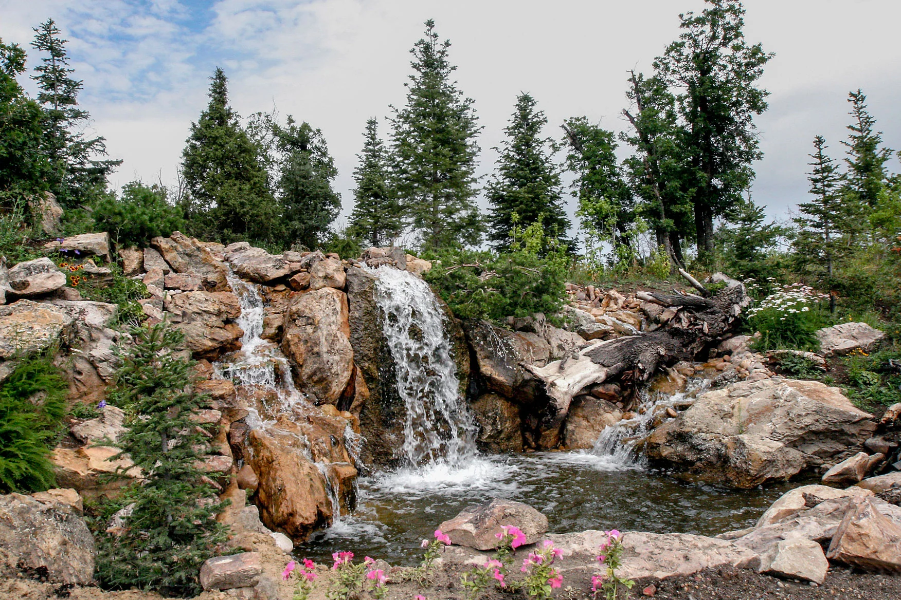 Tuck Waterscape 546.jpg