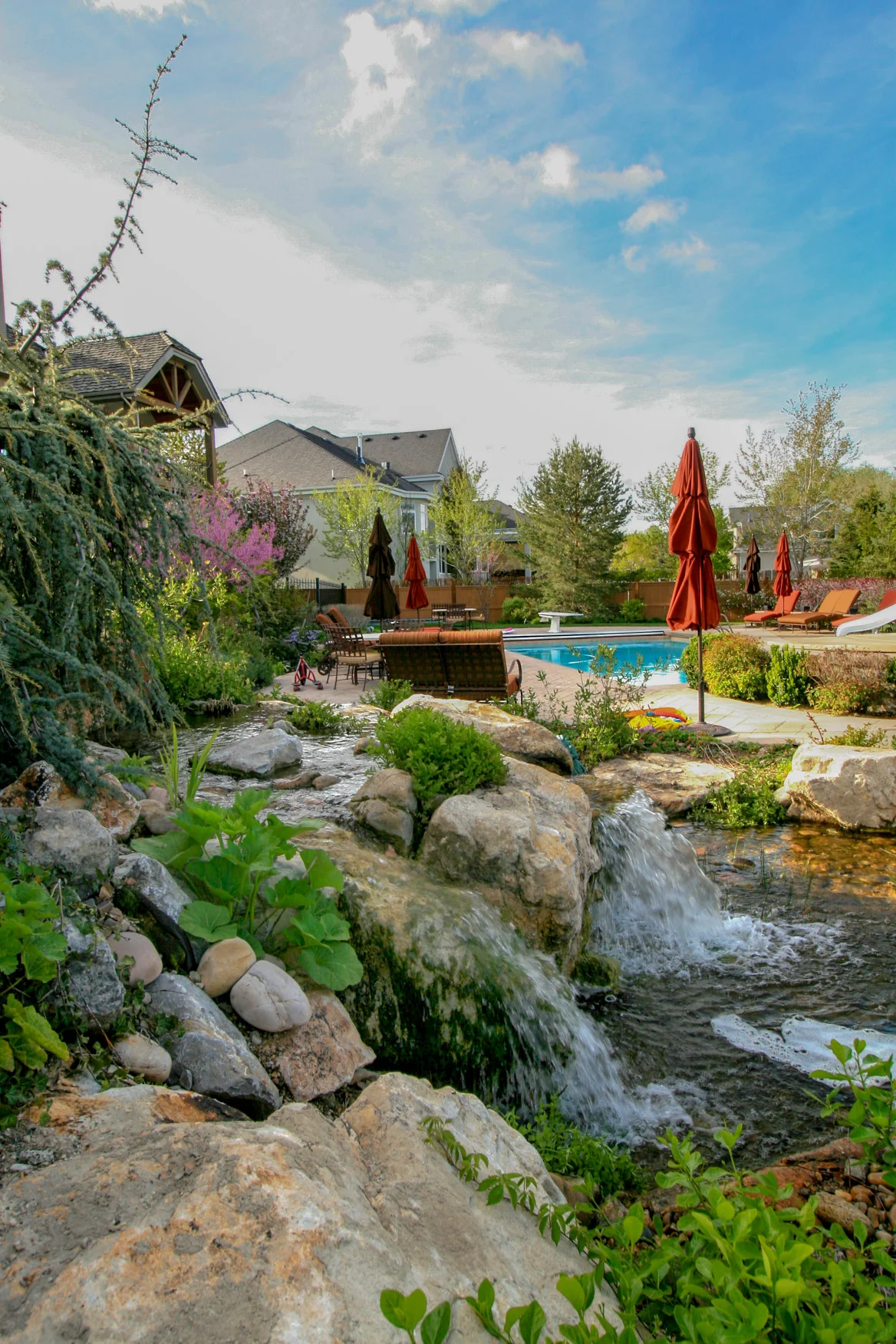 Tuck Waterscape 673.jpg