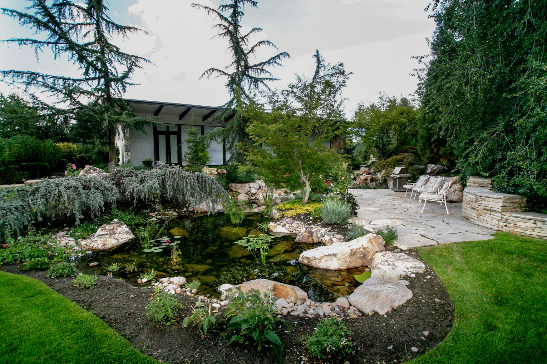 Tuck Waterscape 837.jpg