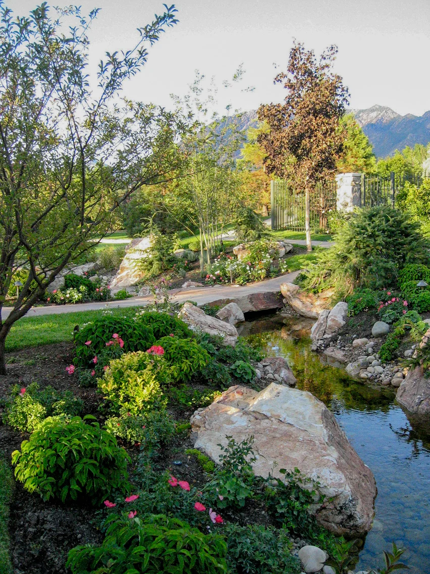 Tuck Waterscape 1665.jpg