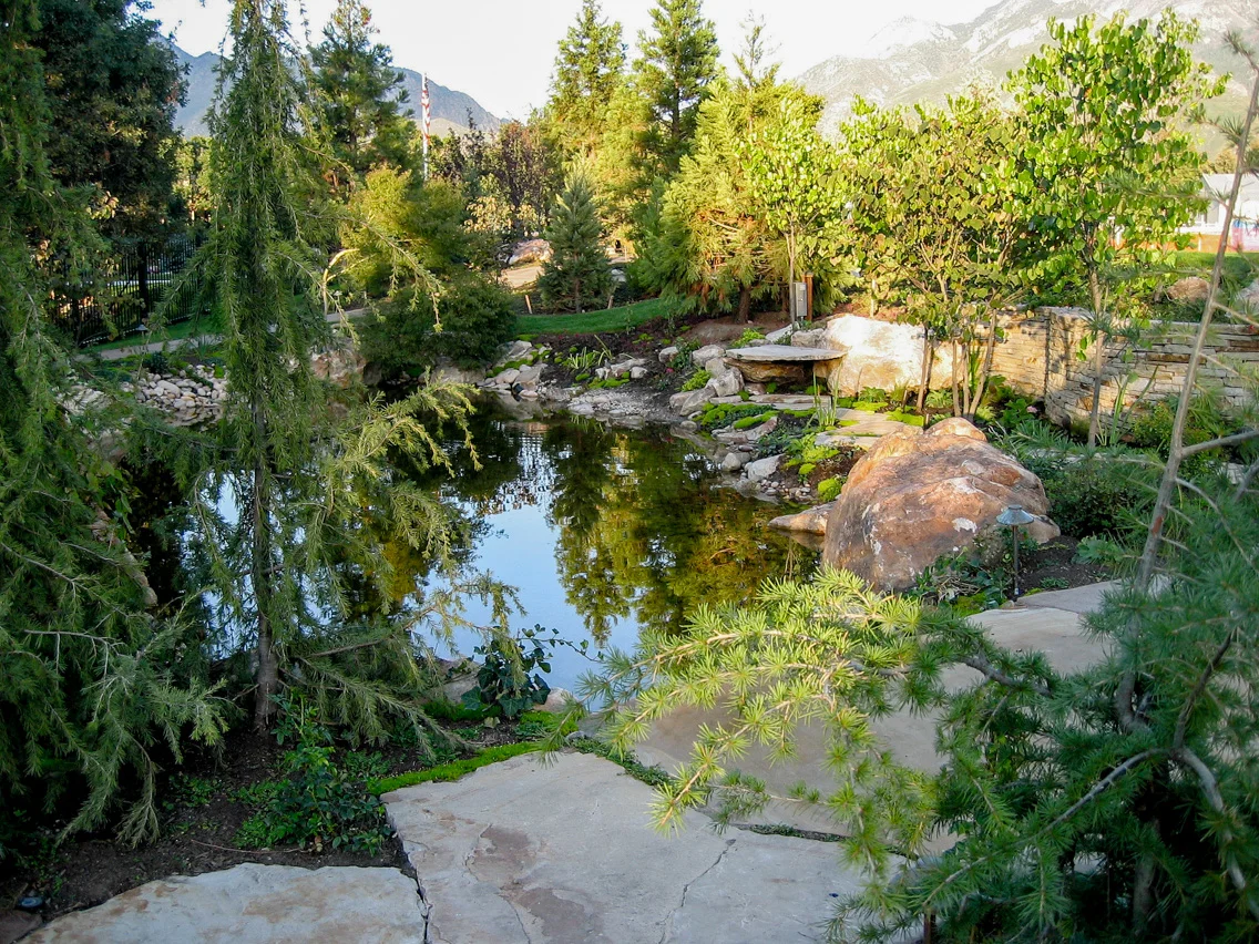 Tuck Waterscape 1688.jpg