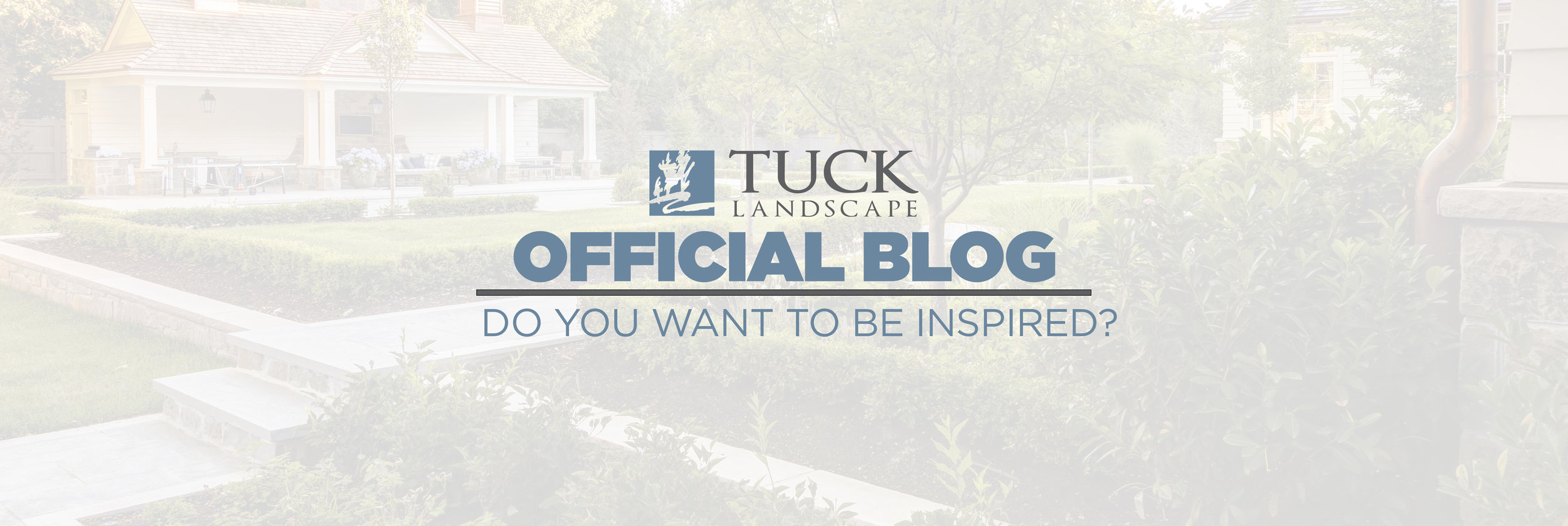 Blog Header Image.jpg