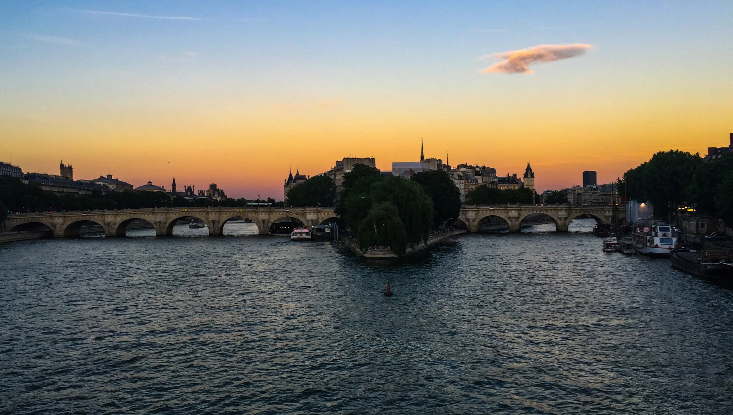 Pont Neuf | Ile de la Cité