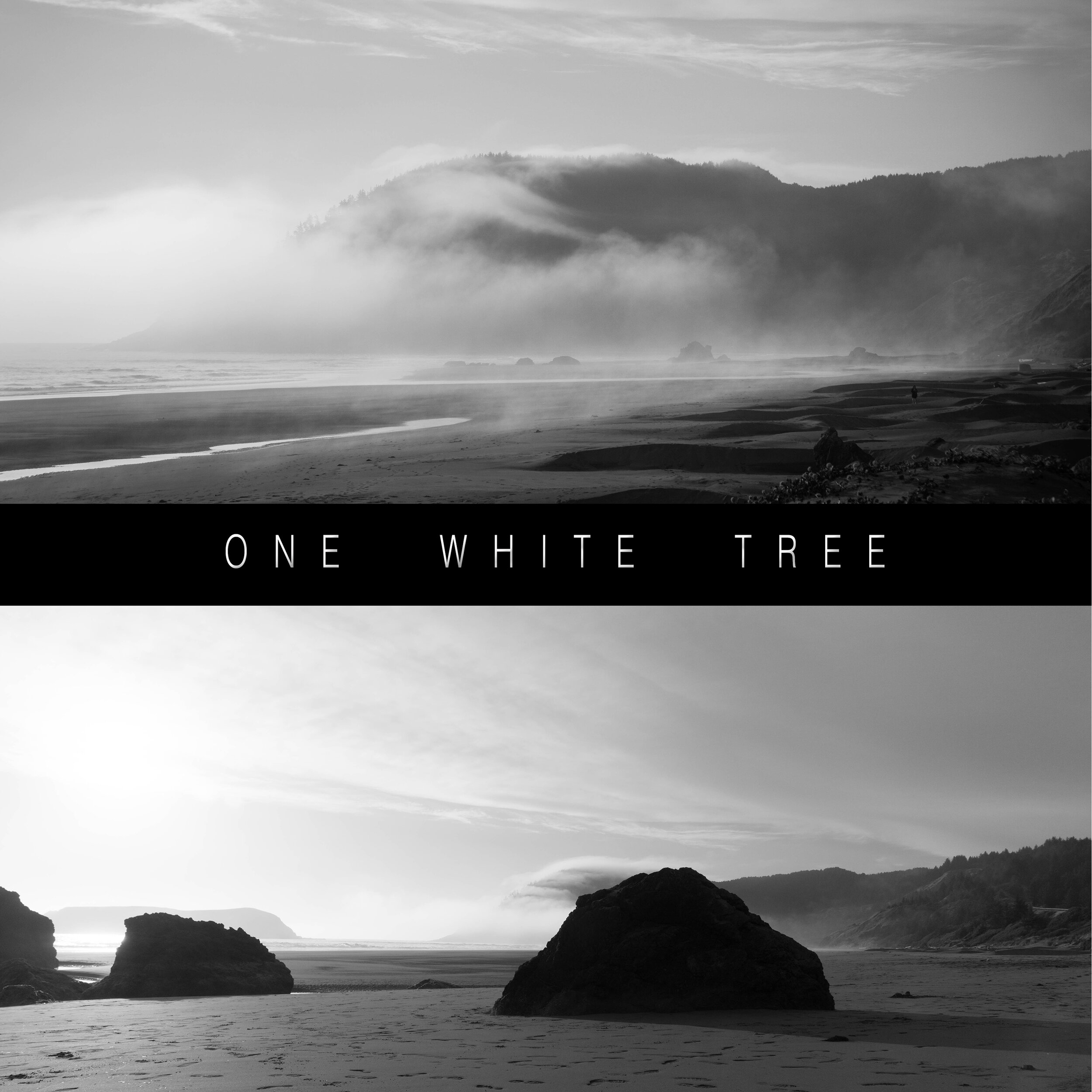 One White Tree.jpg