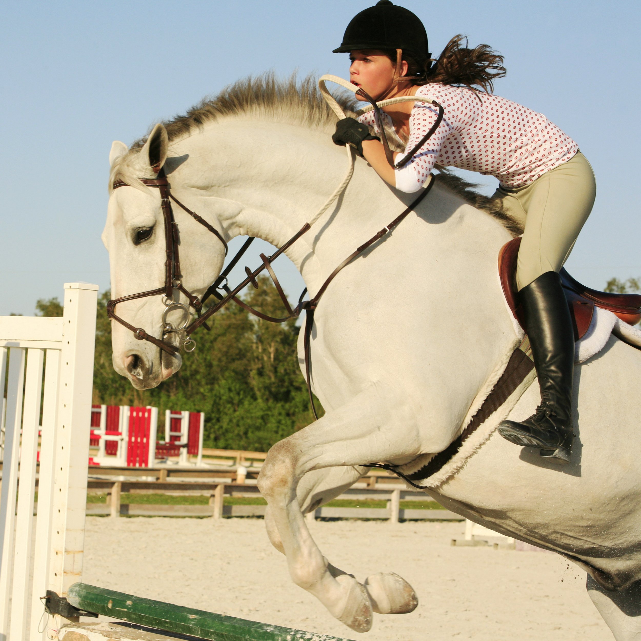 8.5x8.5 jumping horse palm beach.jpg